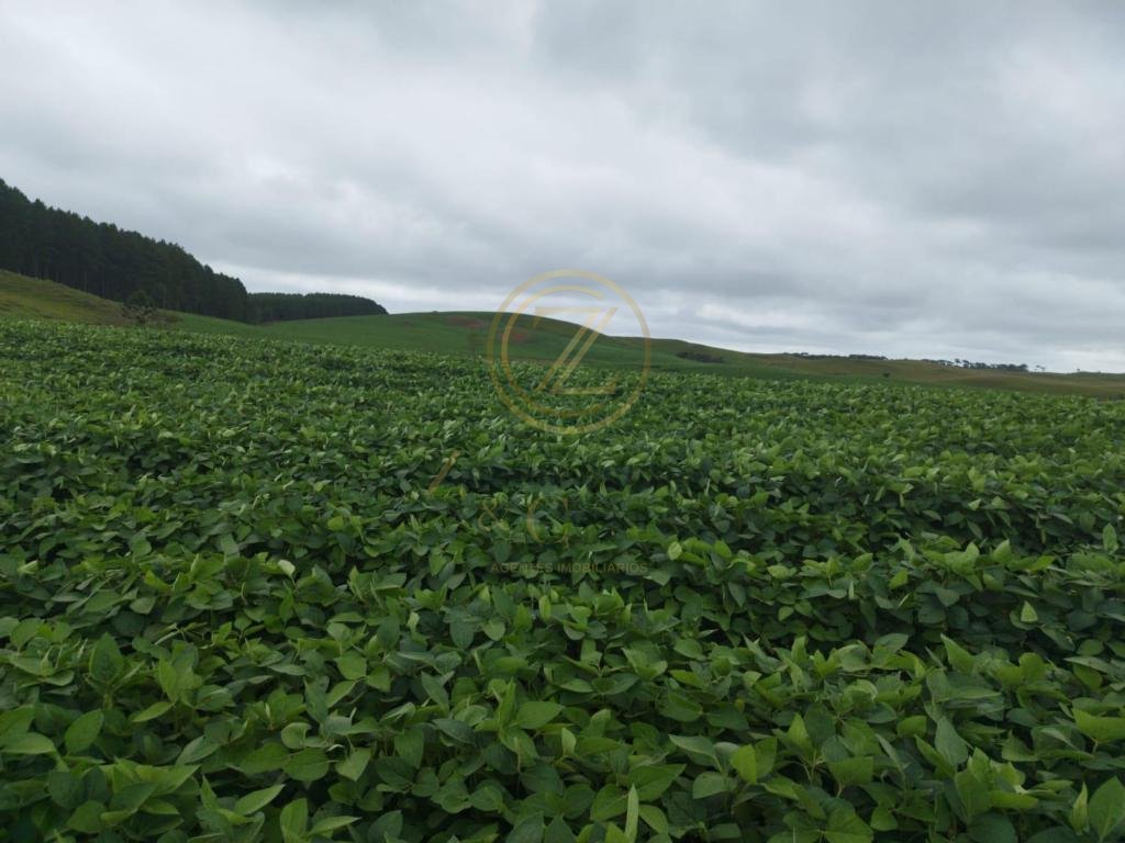 Área